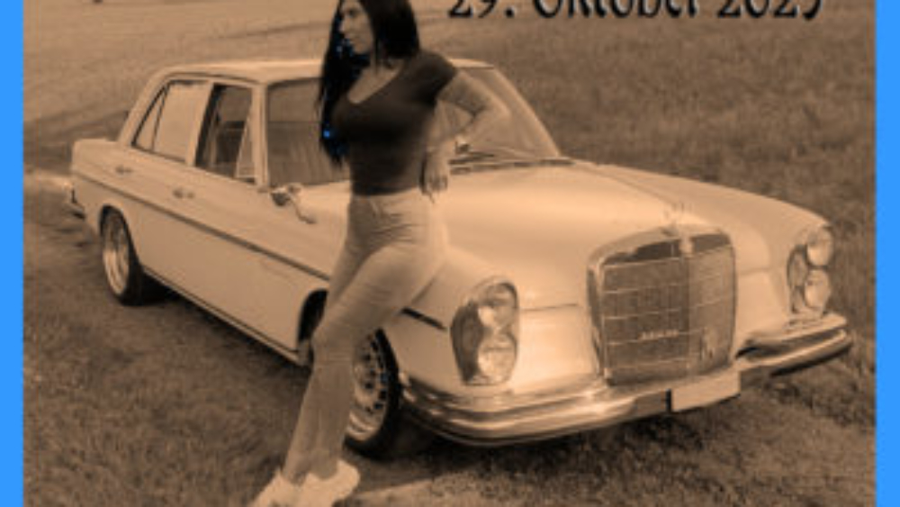 mitRandschwarzdev Kopie